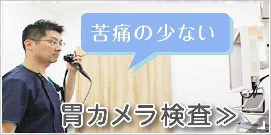 苦痛の少ない胃カメラ検査|詳しくはこちら
