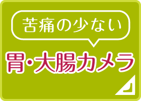 苦痛の少ない 胃・大腸カメラ