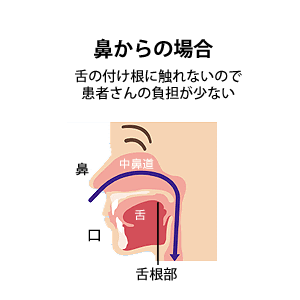 鼻からの場合